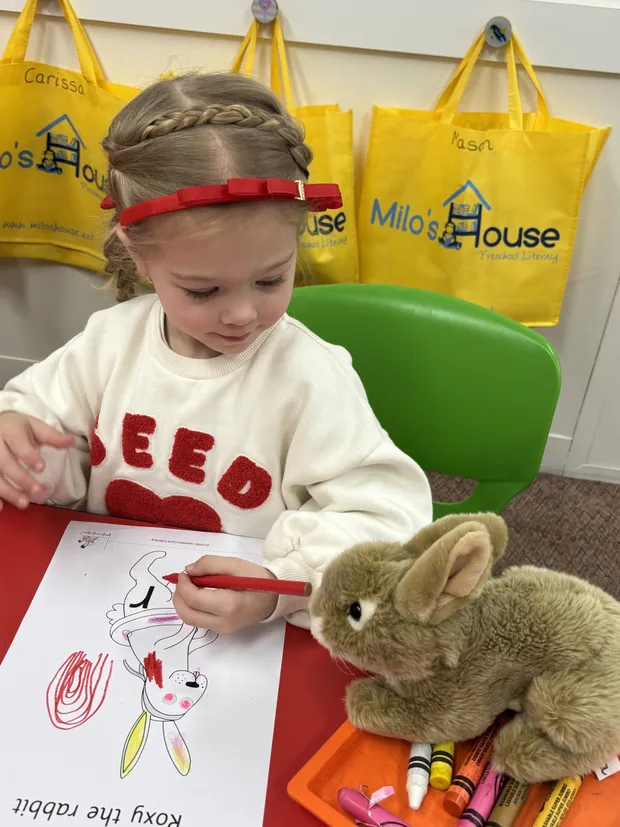 Kinder 3 Program
